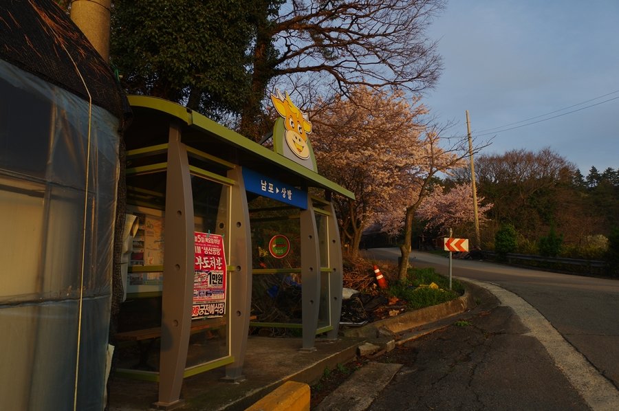 IMGP6866.JPG : 즐거운 정모였습니다.