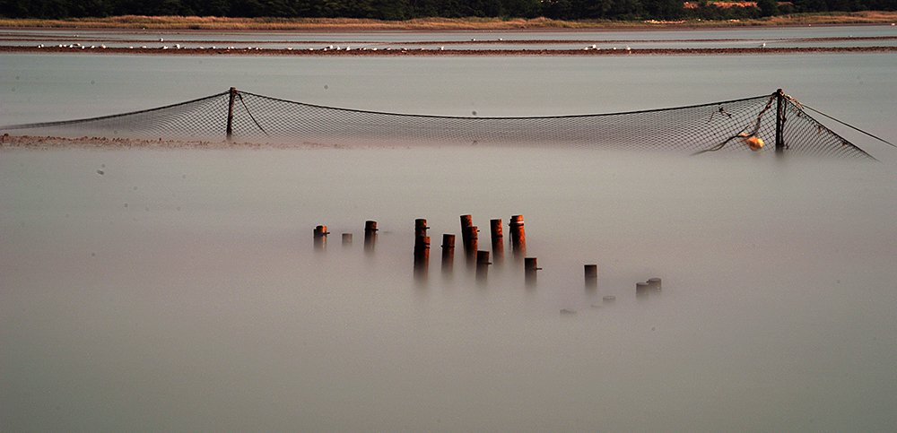 DSC_2086-전곡2.jpg : 전곡핳