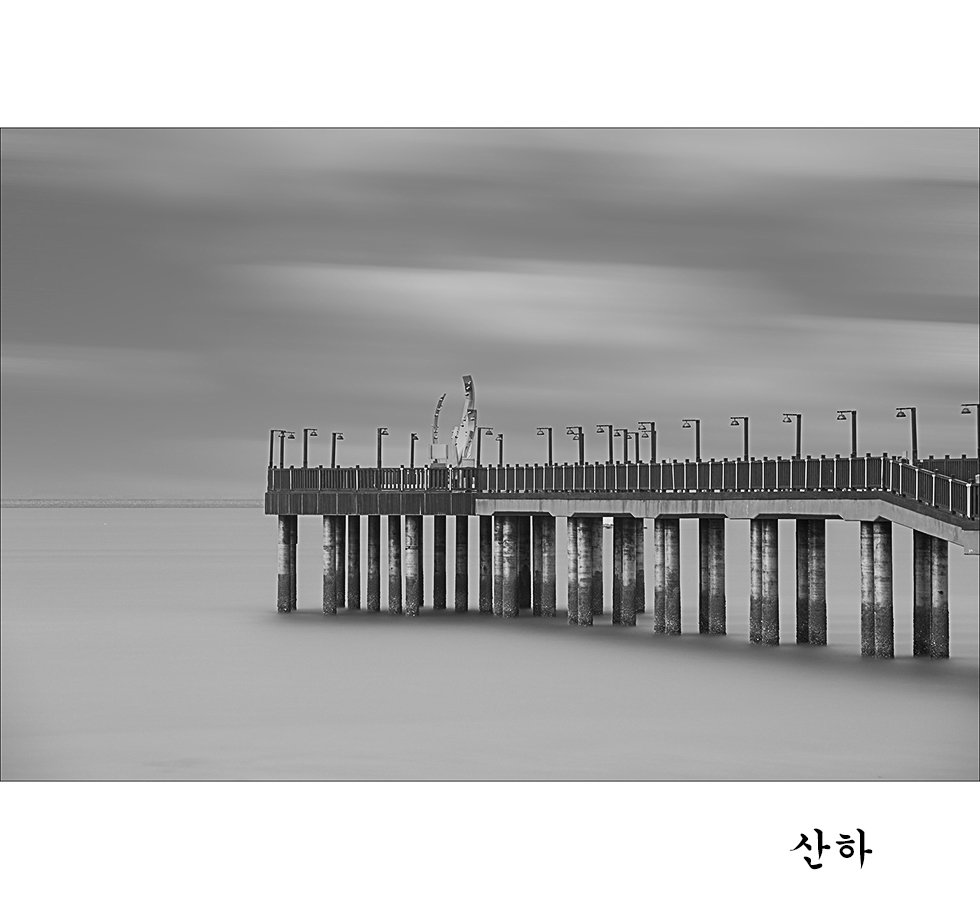 2M3A0803.jpg : 생존 신고용