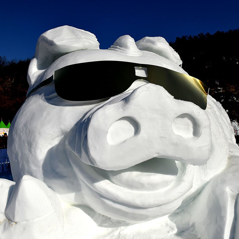 스노우돼지.jpg : 눈 눈 눈,,