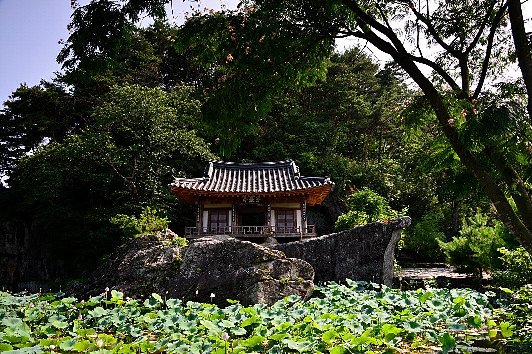 DSC_7641.JPG : 문경 주암정