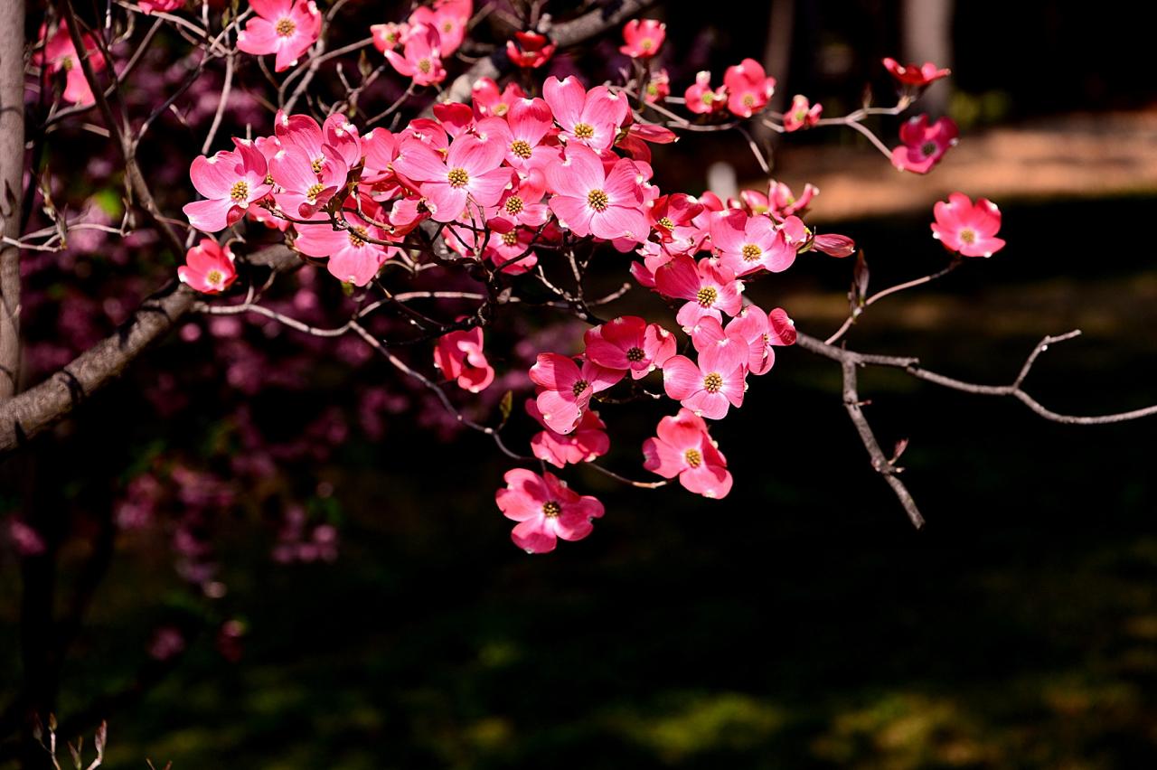 BandPhoto_8778726643.jpg : 하수화해당