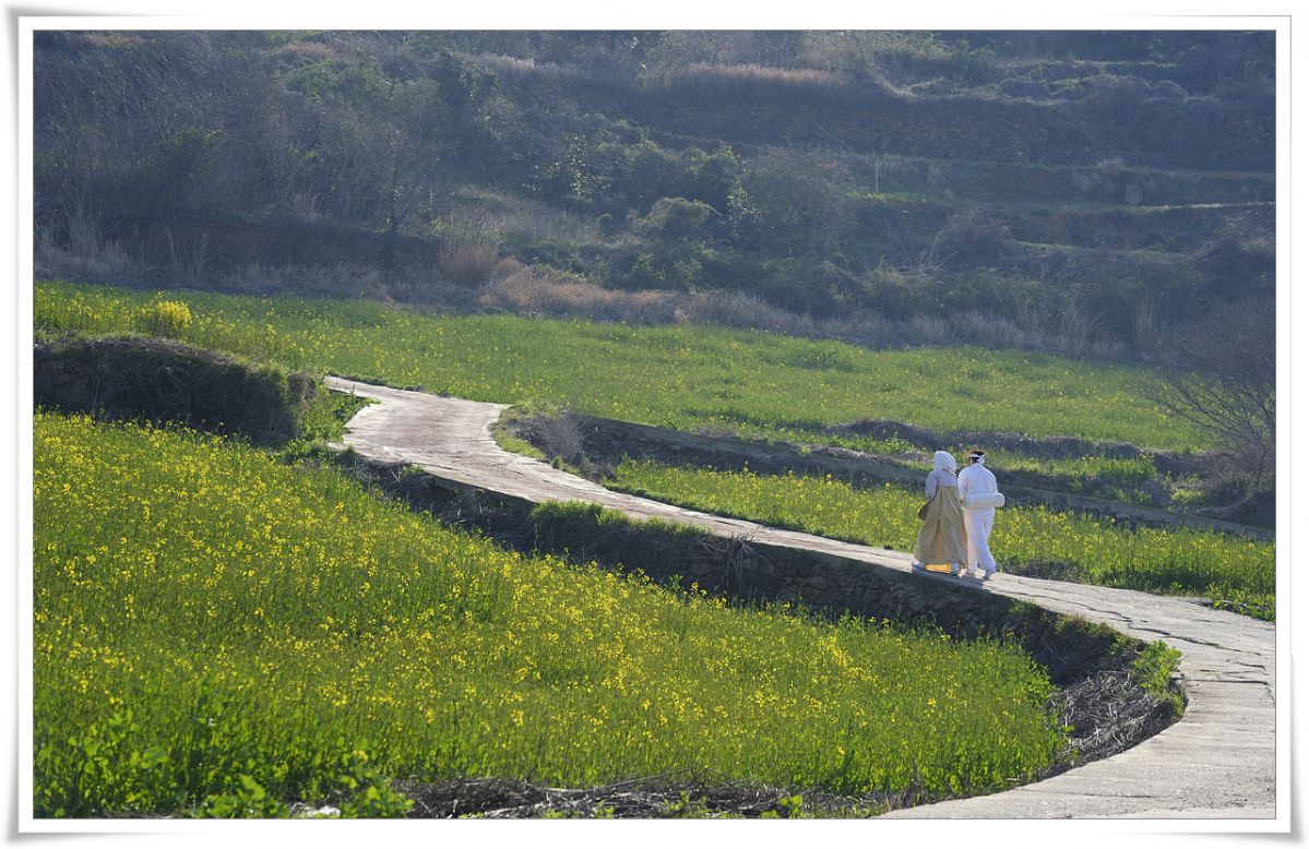 _DSC6475.jpg : 청산도 정모