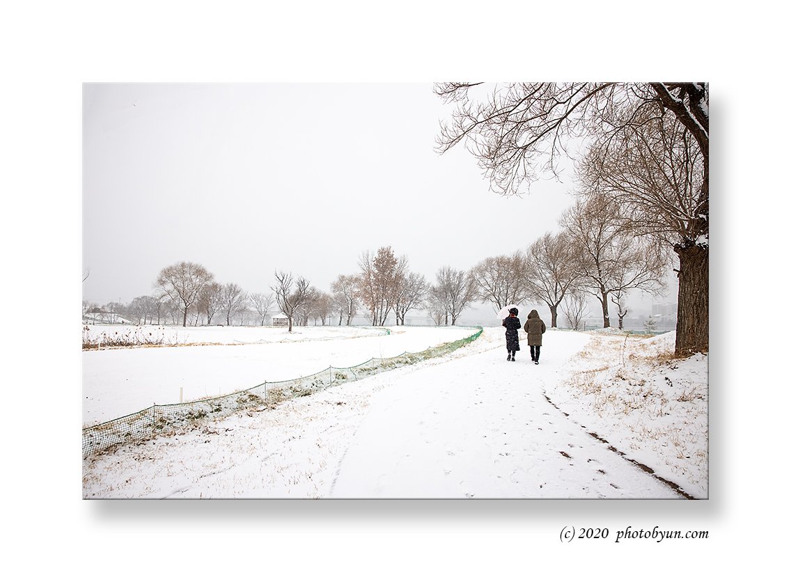 0P3A8660-편집.jpg : 눈오는 날