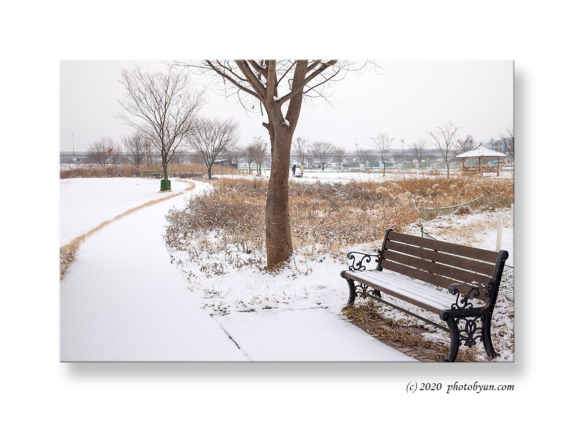 0P3A8682-편집.jpg : 눈오는 날