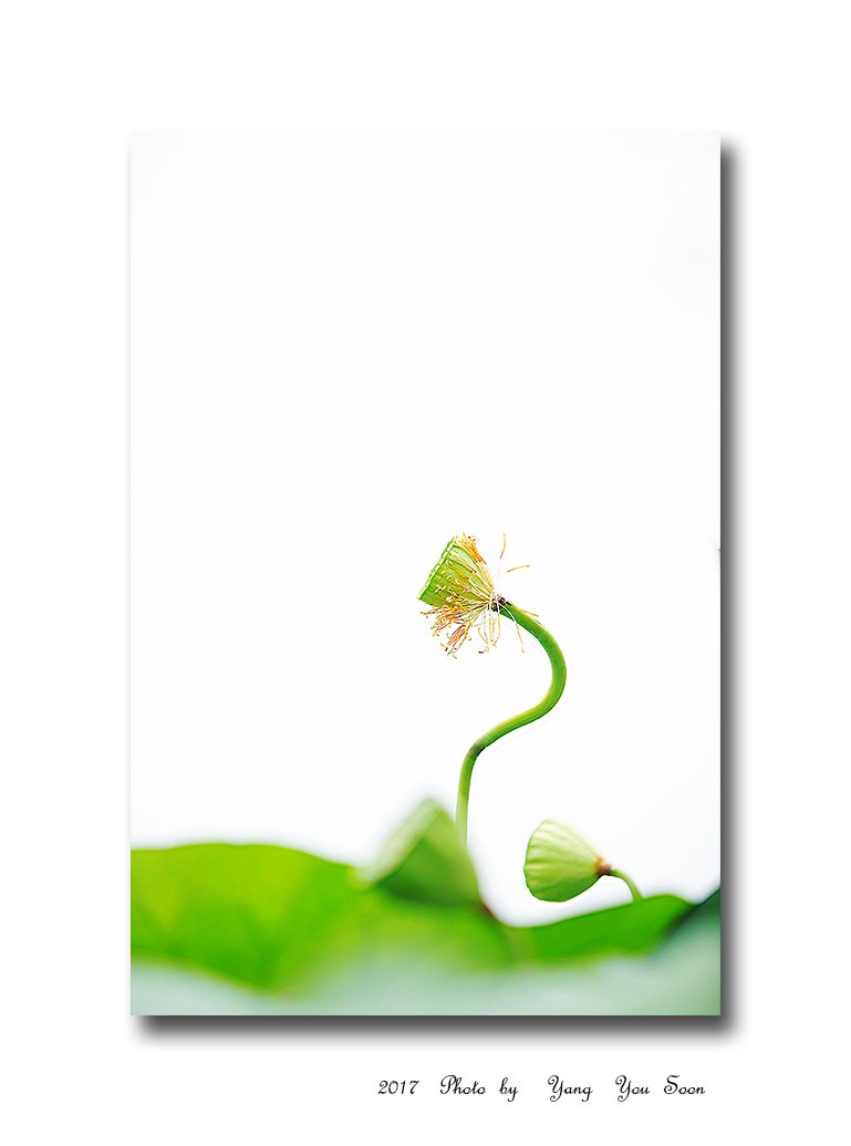 Q23C4571-1-r.jpg : s 라인