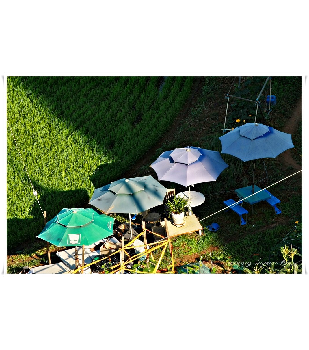 IMG_1054.JPG : 아침