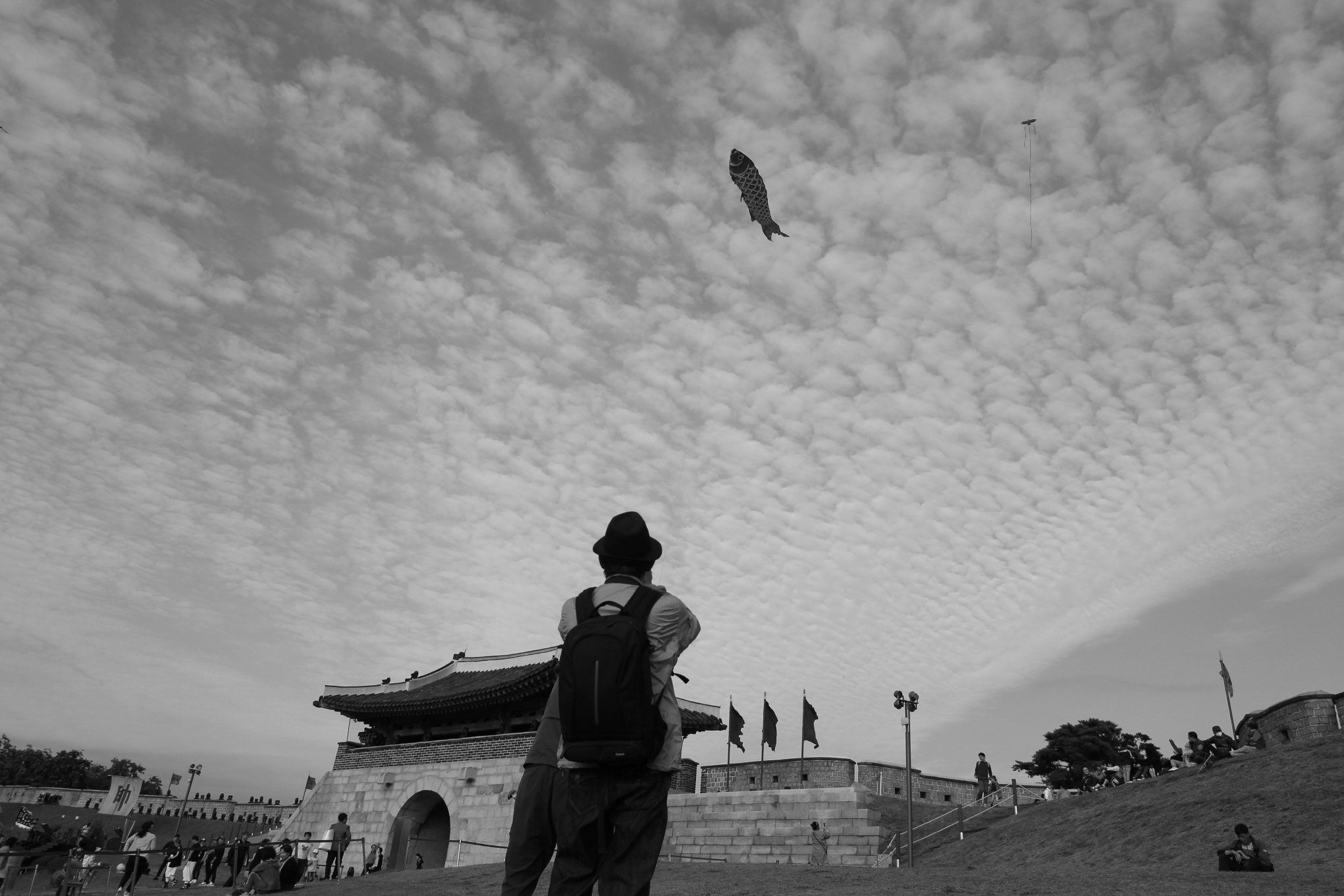 [크기변환]IMG_9377.JPG : 물고기의 꿈