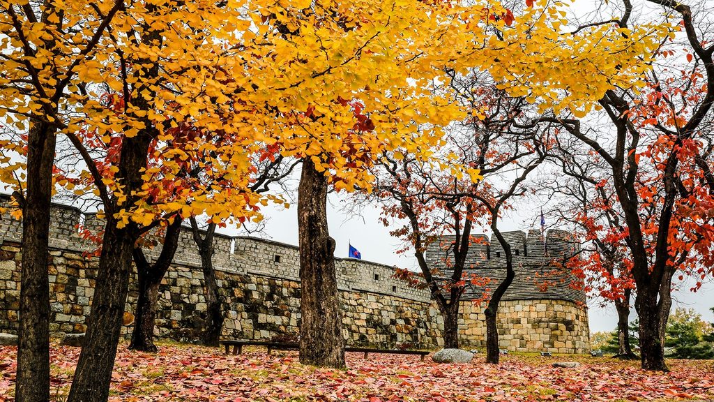 동북노대의가을_홈페이지용_1024.jpg