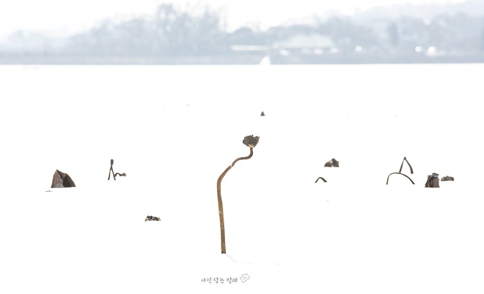 CE3A9411-1framejpgresize.jpg : Gallery" Lee Botong"