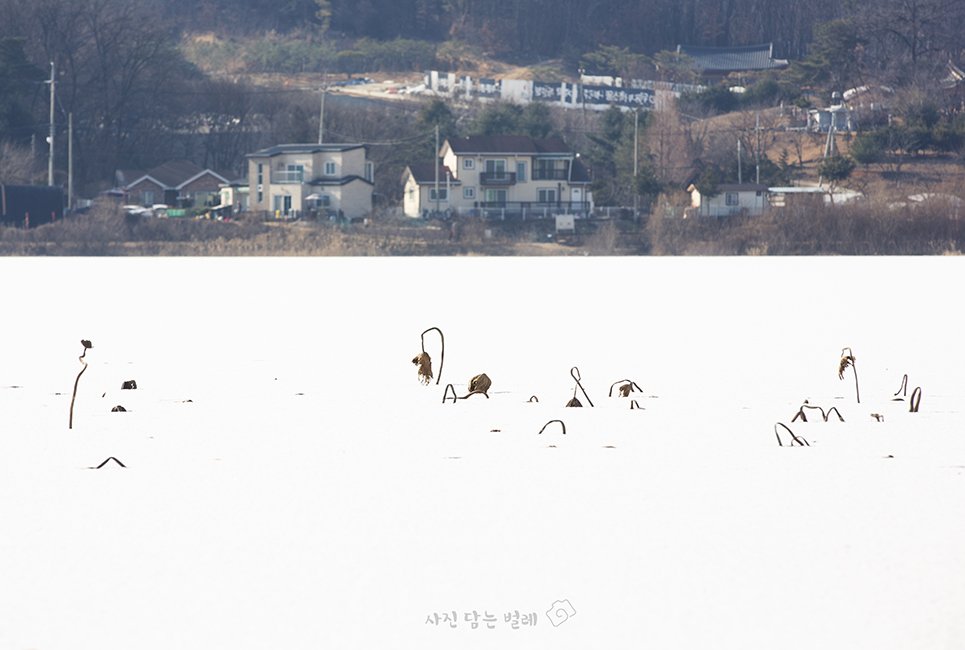 CE3A9368-1frameresize.jpg : Gallery" Lee Botong"