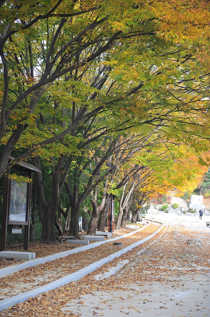 _DSC0415_00001.jpg : 미리내성지의 가을 소경(10월31일 상황)