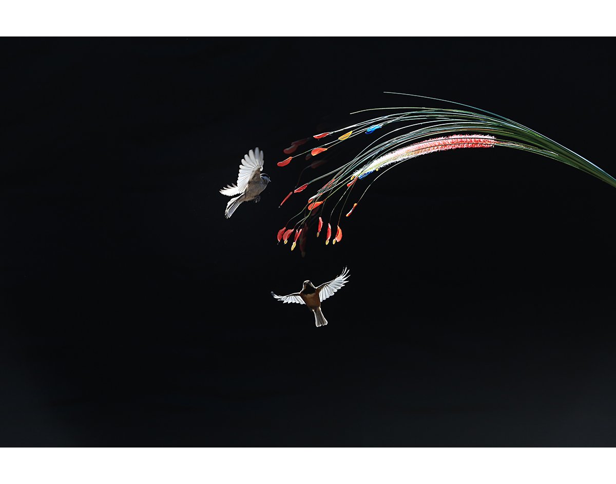 2M3A4444.jpg : 범인 잡았네요.