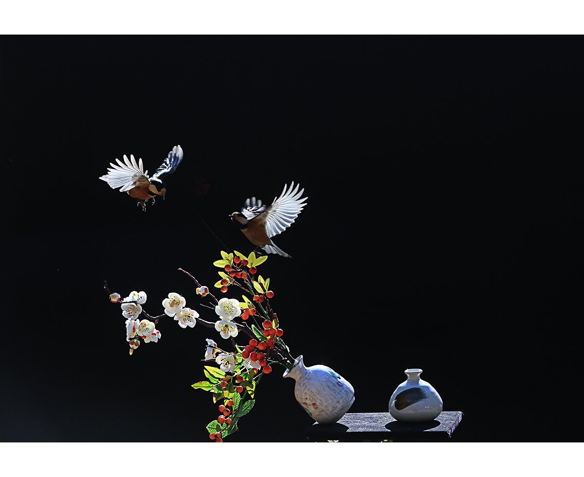 2M3A6389.jpg : 범인 잡았네요.