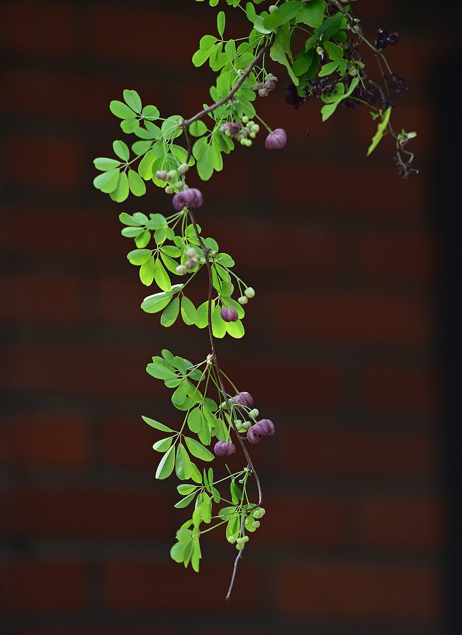 _DSC5362_00001.jpg : 화성한바퀴