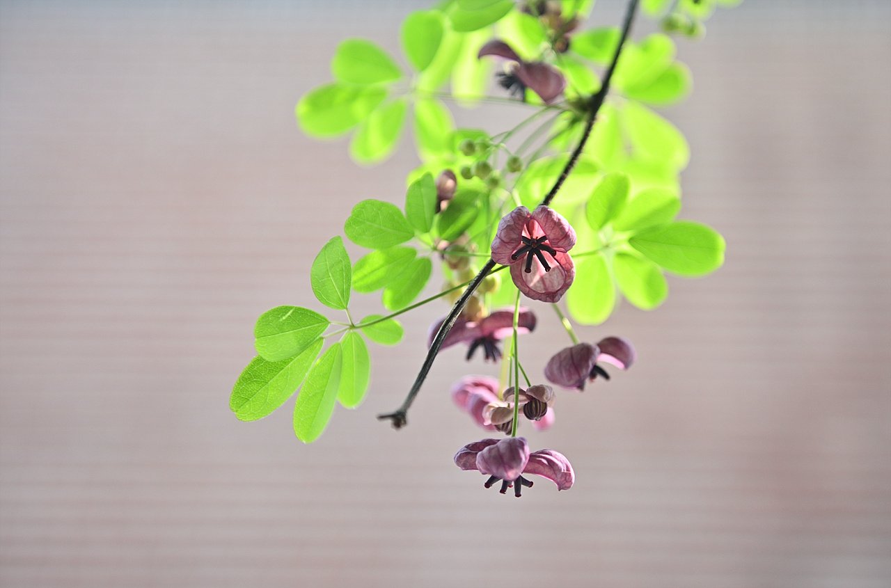 _DSC5230_00001.jpg : 화성한바퀴