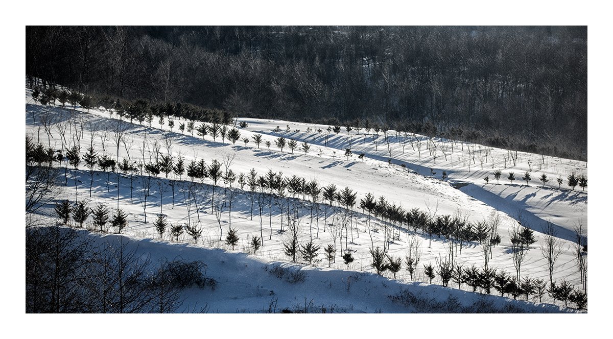 함백산.jpg : 겨울 산