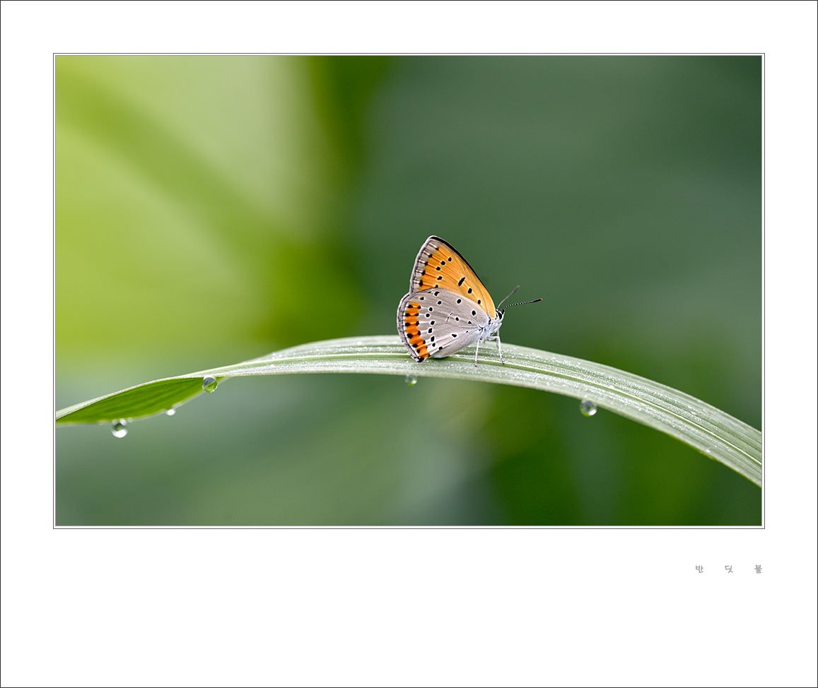 _DSC1510.jpg : 7월 정모 숙제