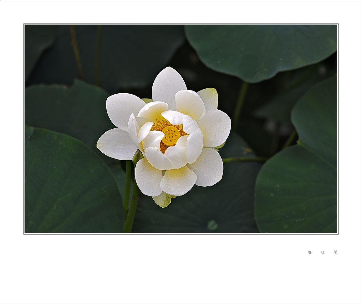 _DSC1490.jpg : 7월 정모 숙제