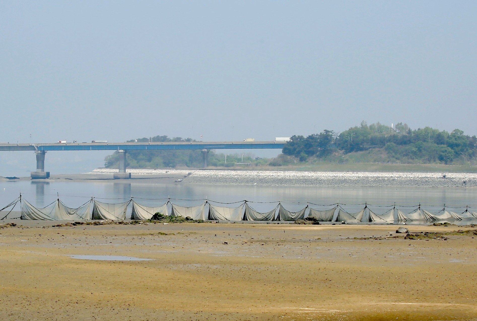 5K5A0043.JPG : 강변의일손