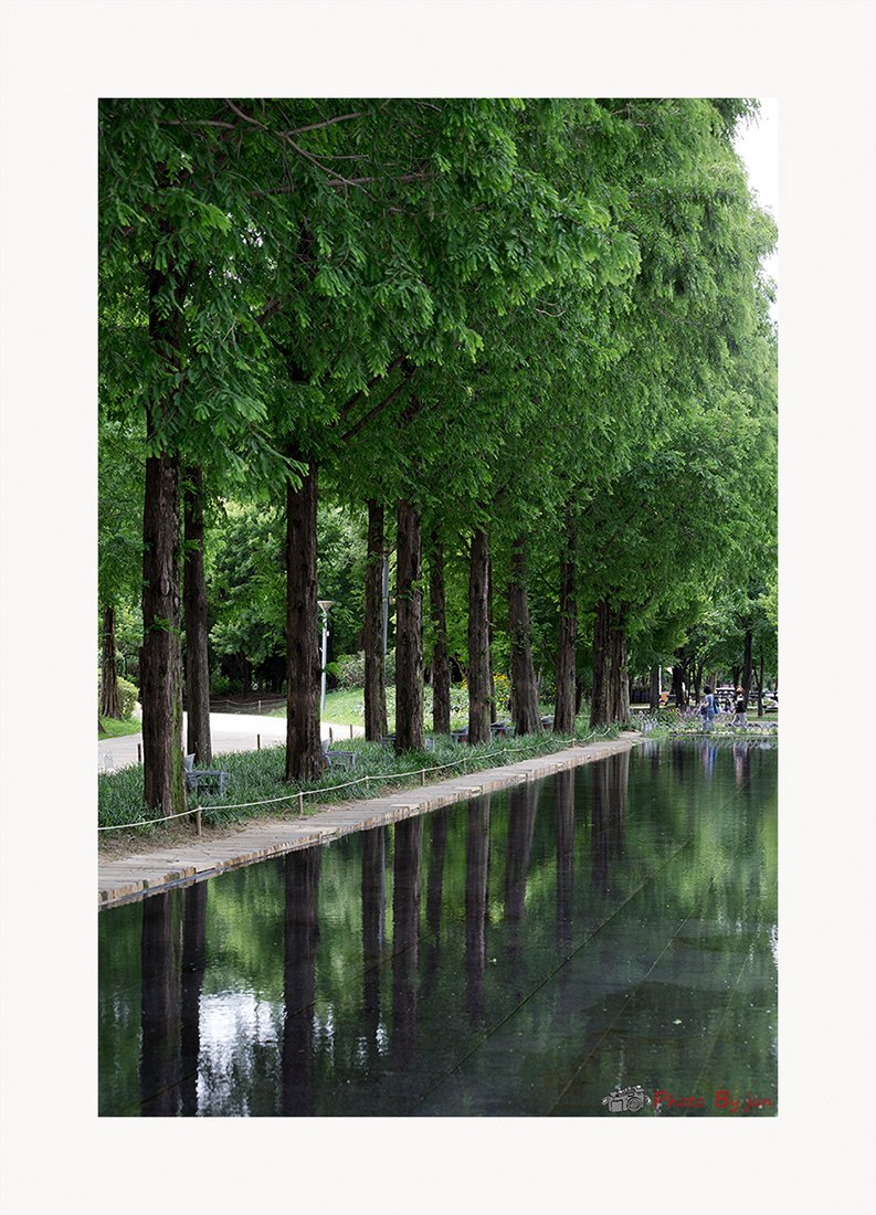 D55A0663-32.jpg : 반영