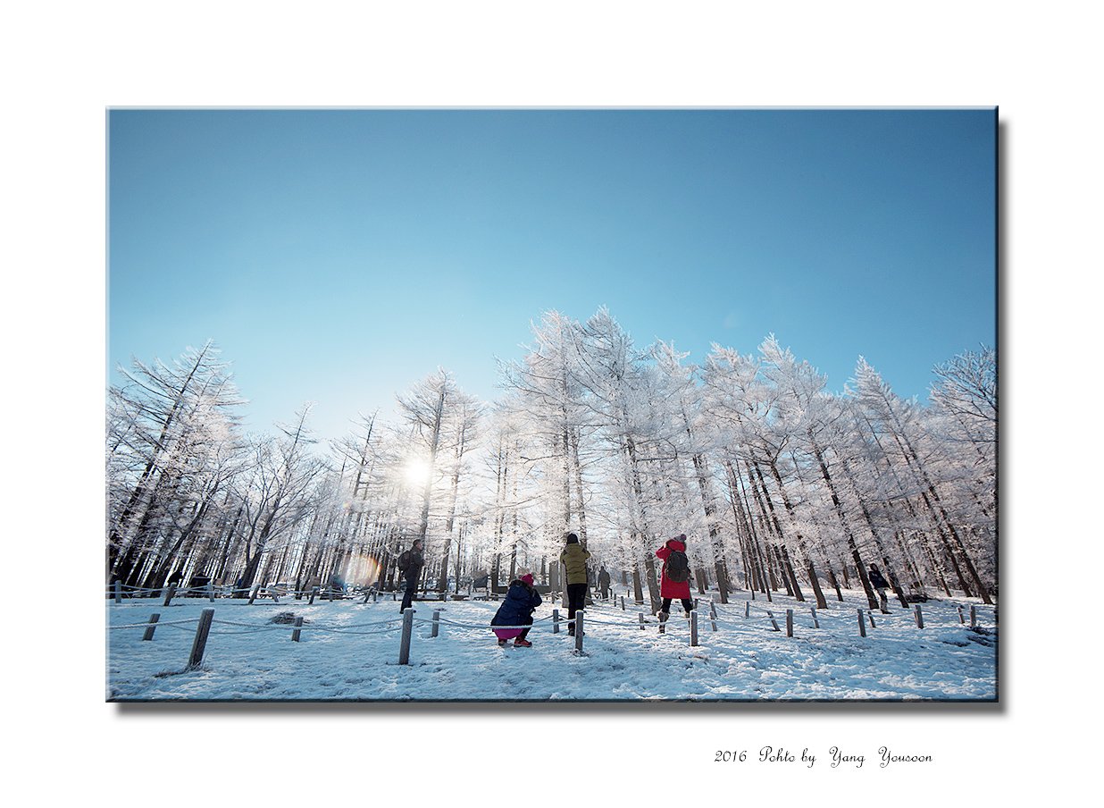 4062dc8f698f220e10d4bce5b860224e.jpg : 만항재