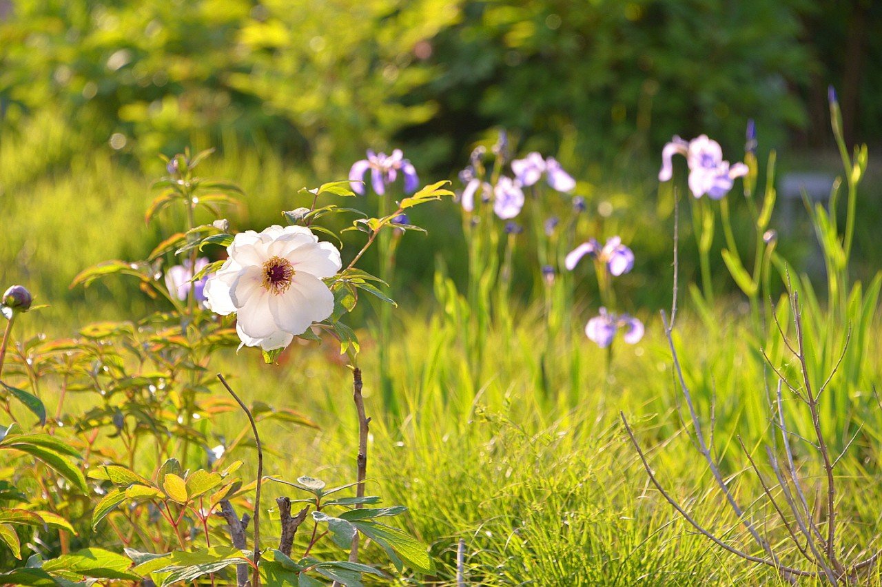 BandPhoto_13245658802.jpg : 영랑 생가에서