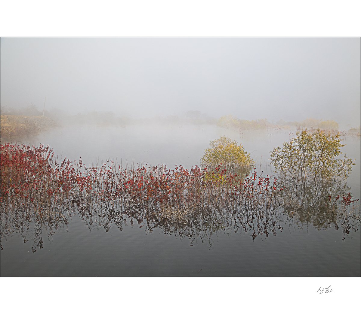 2M3A8075.jpg : 가을의 끝자락에서~~~