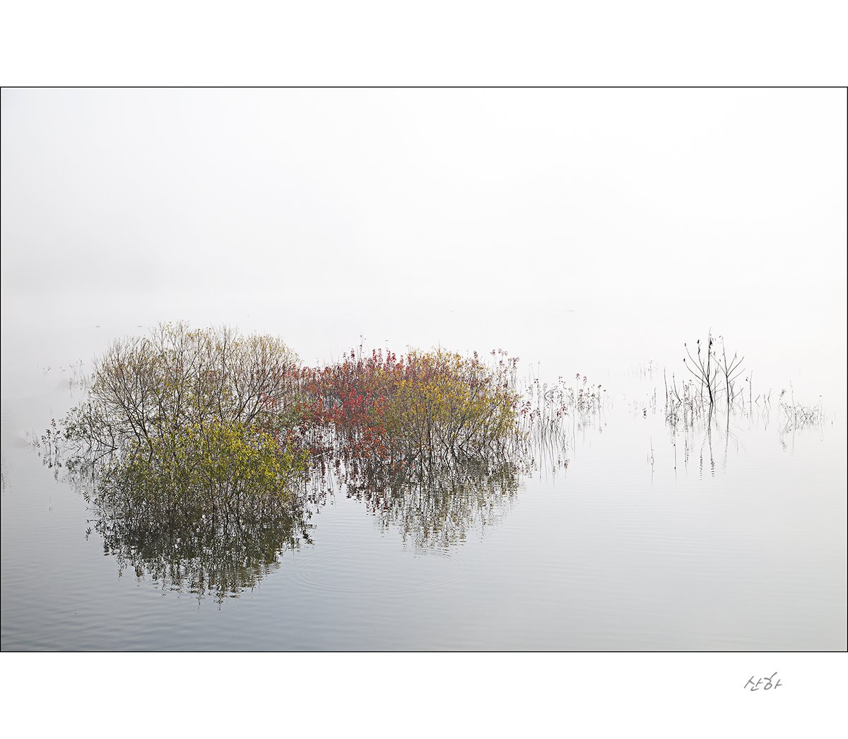 2M3A8108.jpg : 가을의 끝자락에서~~~