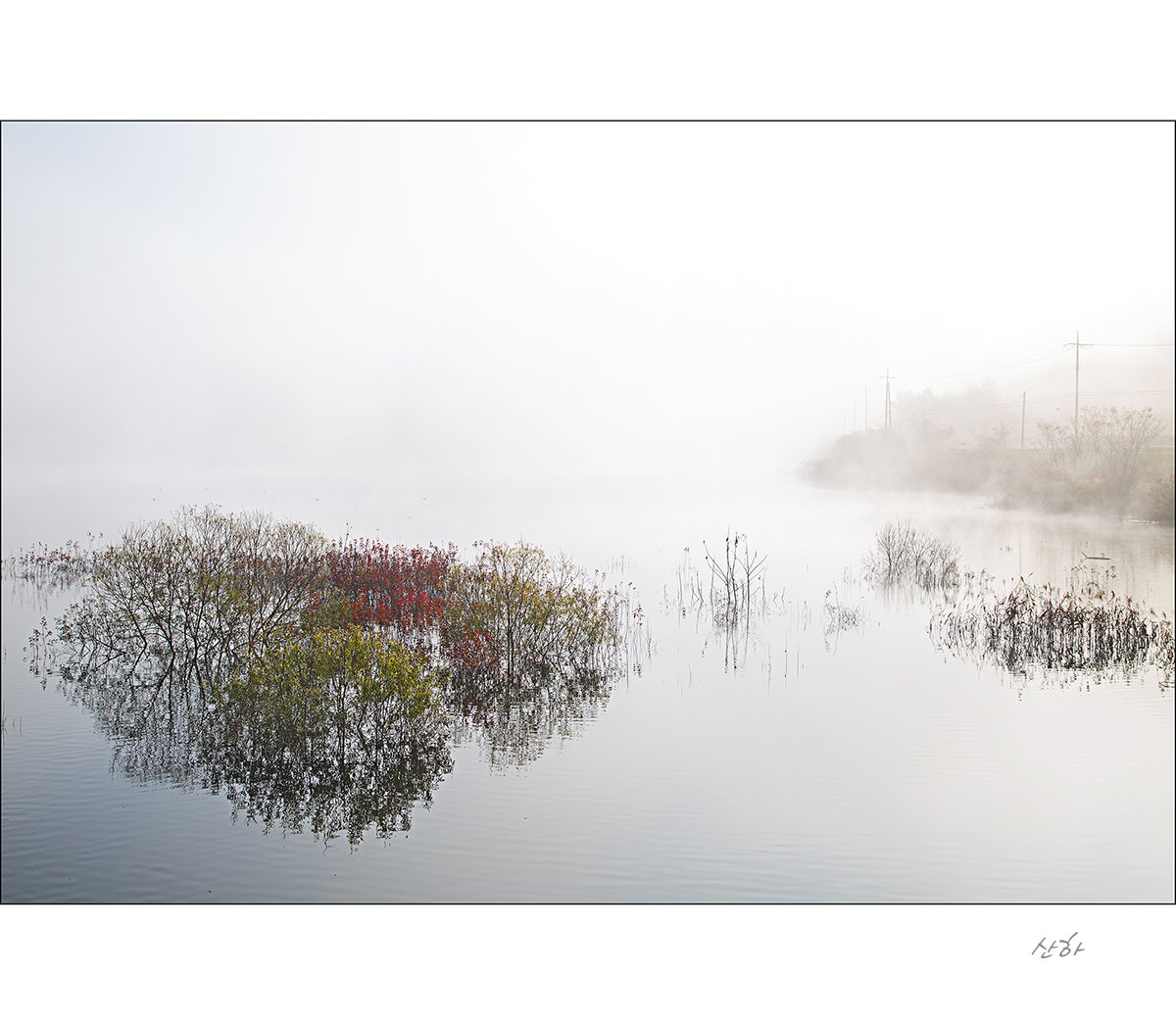 2M3A8103.jpg : 가을의 끝자락에서~~~