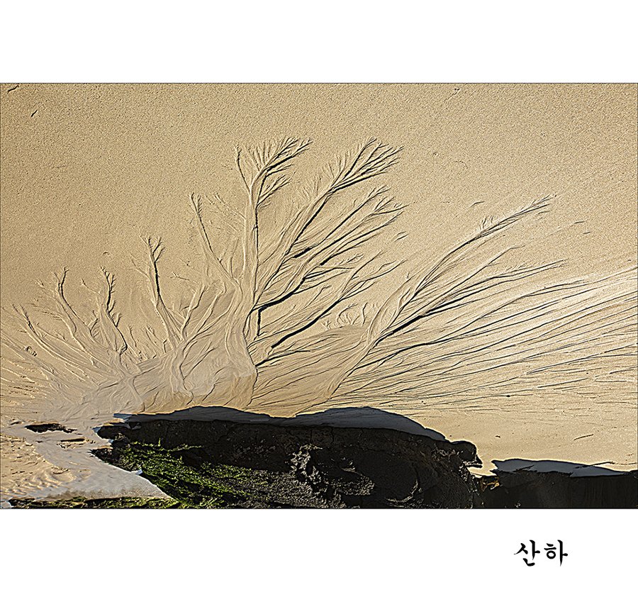 2M3A66989.jpg : 제주5박6일 뚜벅이들 비양도 ,우도 ~~