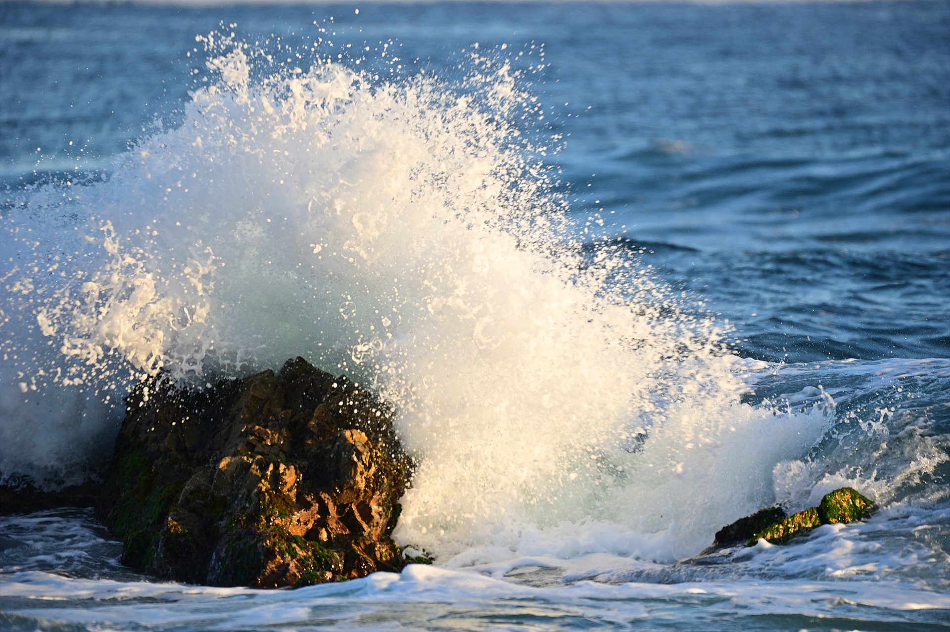 _DSC1403_00001.jpg : 정동진 일출 _DSC1403_00001.jpg : 정동진 일출