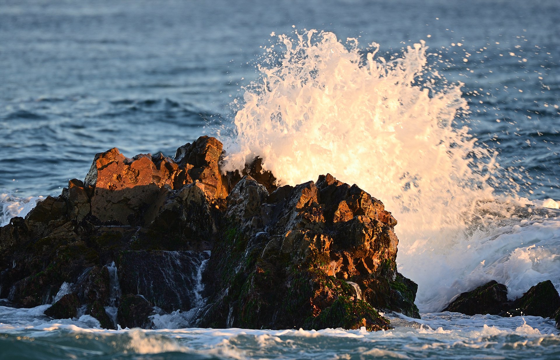 _DSC1348_00001.jpg : 정동진 일출 _DSC1348_00001.jpg : 정동진 일출