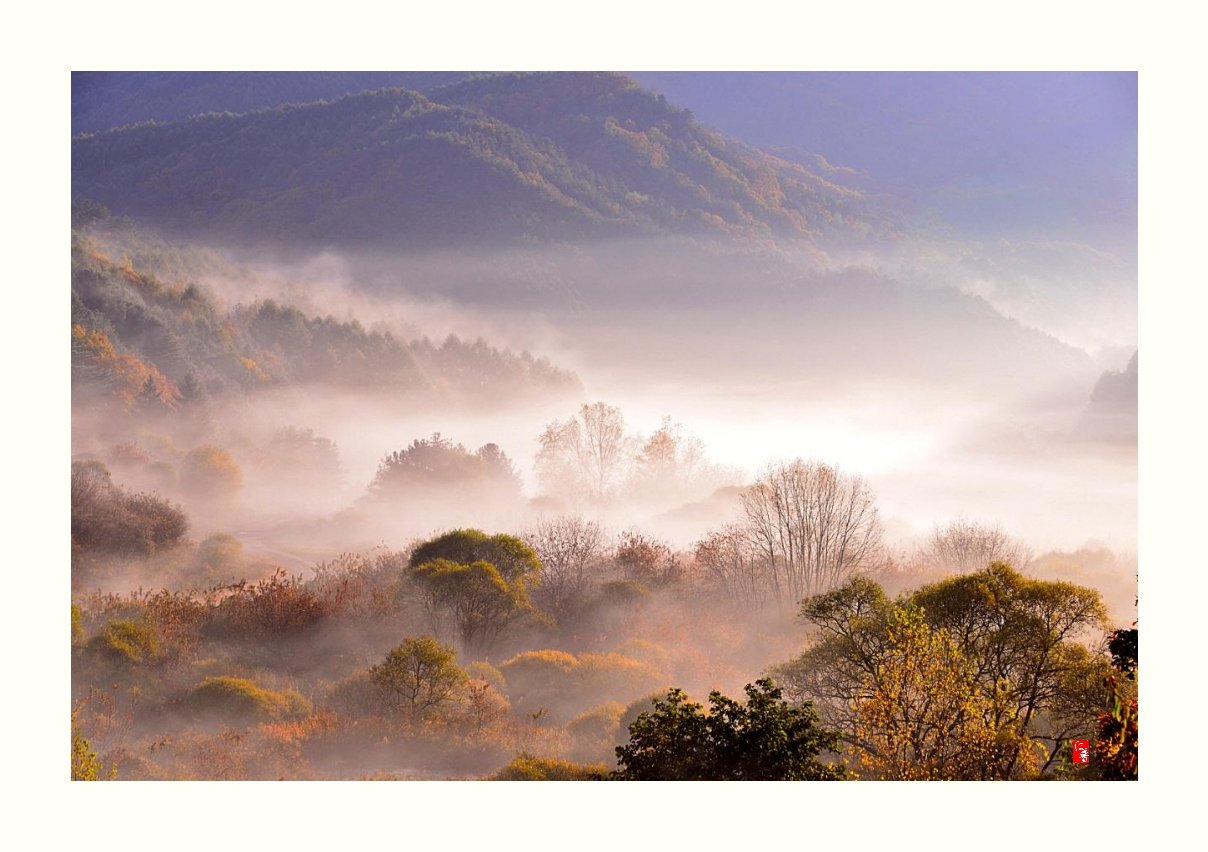 IMG_20171021_224723.jpg : 비밀의 정원2