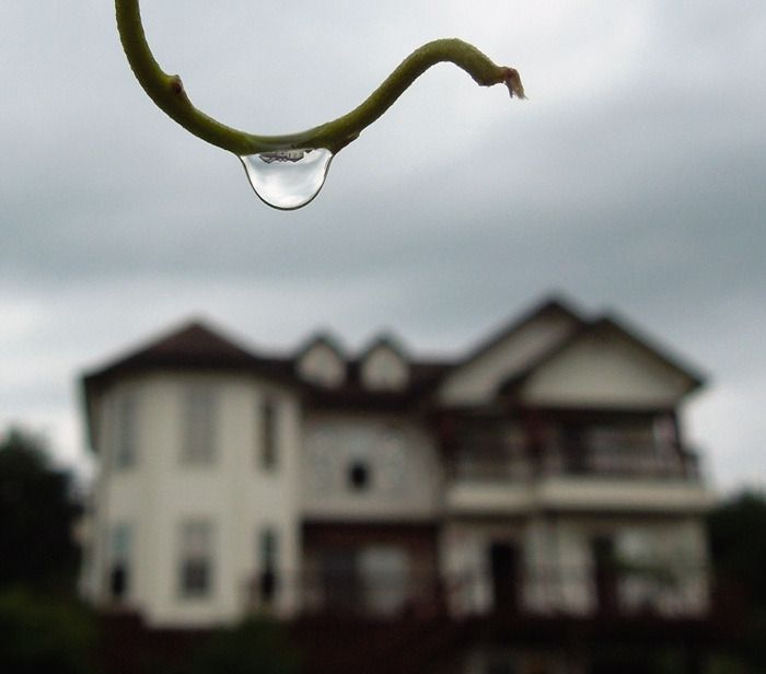 1412294F502EEB2A09_20210318072538.jpg : 물방울영상