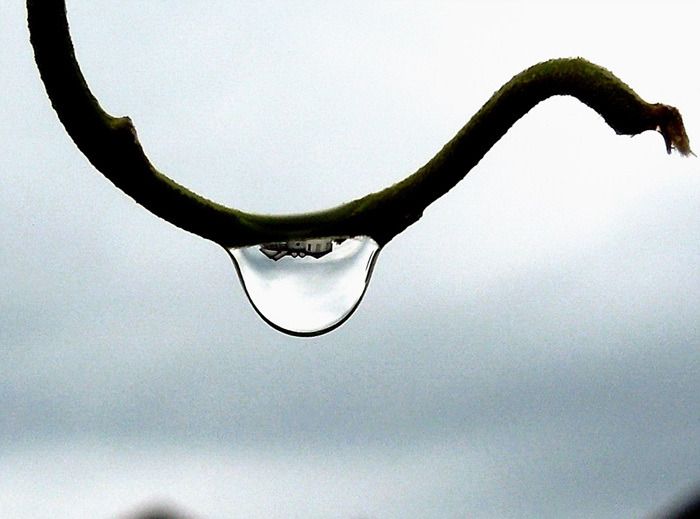 1415CE4F502EEB2B06_20210318072512.jpg : 물방울영상