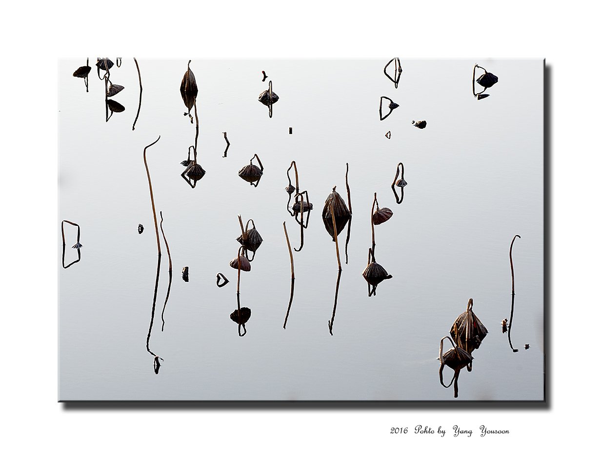 DSC_4420-1-r.jpg : 엽서