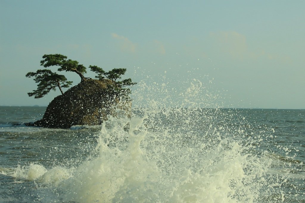 IMG_5346-20200919.jpg : 서천