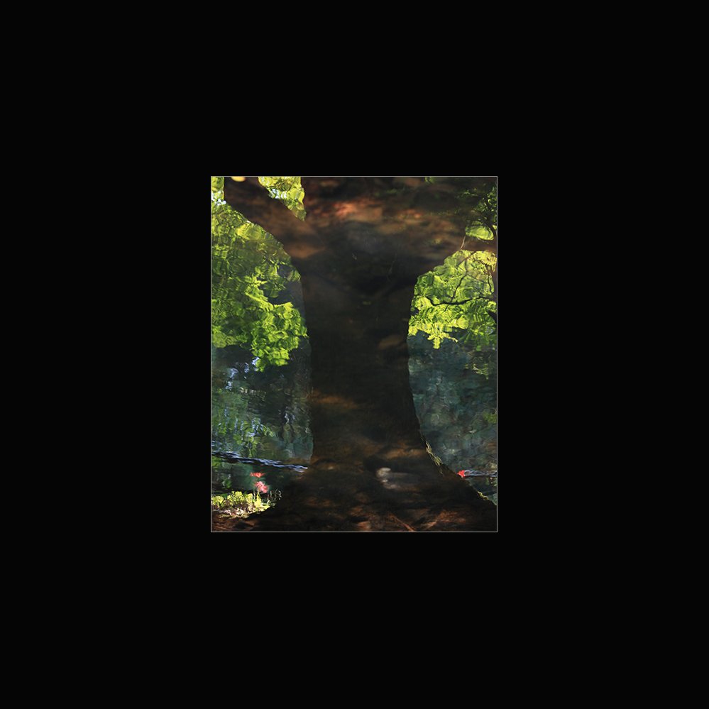 IMG_3808-2.jpg : 나무가있는 풍경...