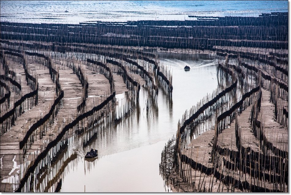 [R]DSC_0601.JPG : S Line