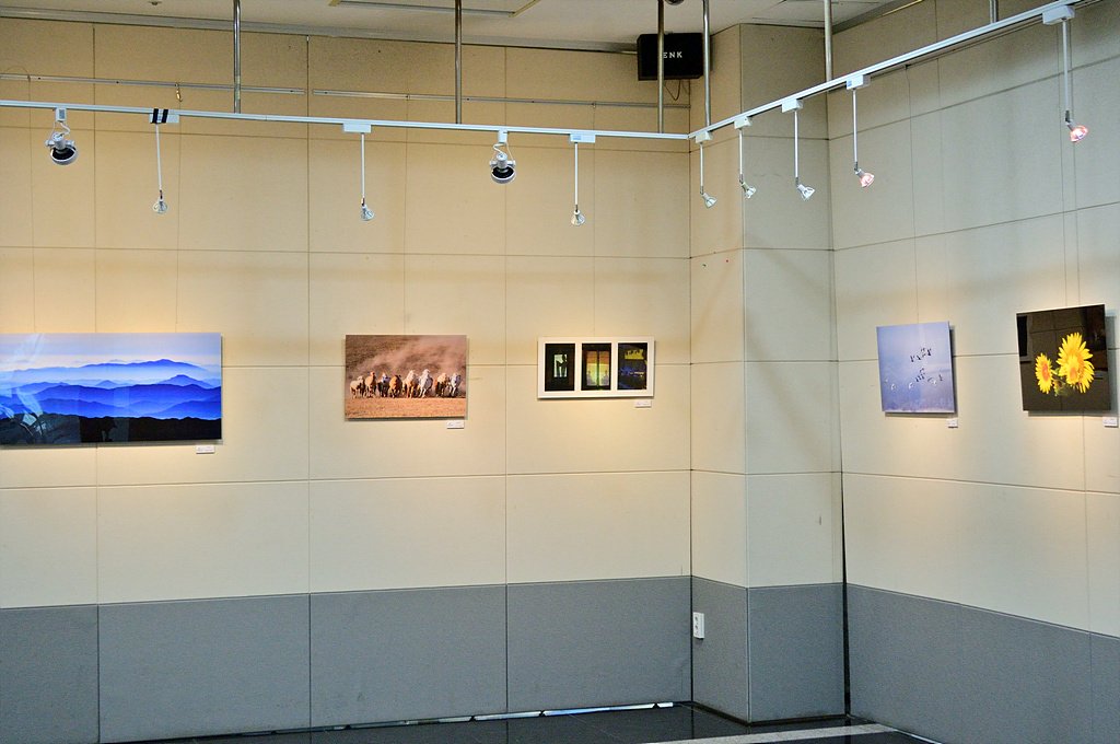 _DSC1992.jpg : 2022년 수사클 전시회가 개최되었습니다