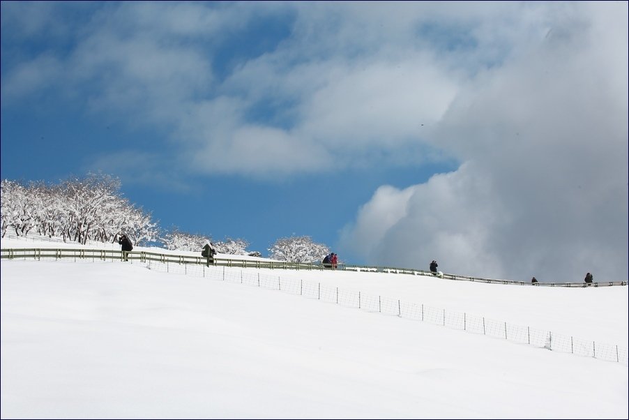 5K5A5503.JPG : 댁관령