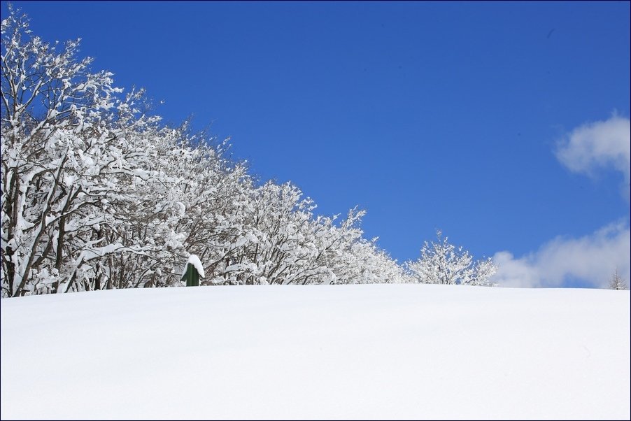 5K5A5555.JPG : 댁관령