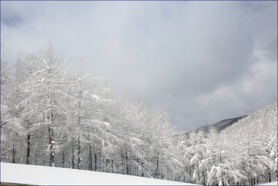 5K5A5487.JPG : 댁관령