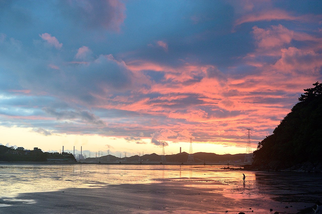 _DSC8933.jpg : 영흥도 뻘다방