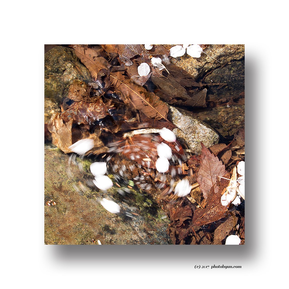 Q23C1472.jpg : 회오리속으로