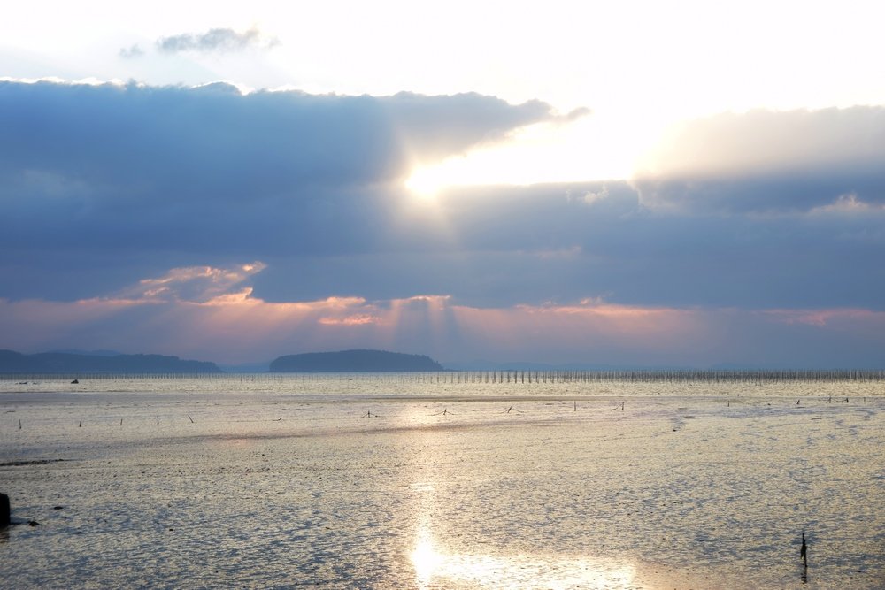 DSC_7424 5678.JPG : 바닷가 빛내림...