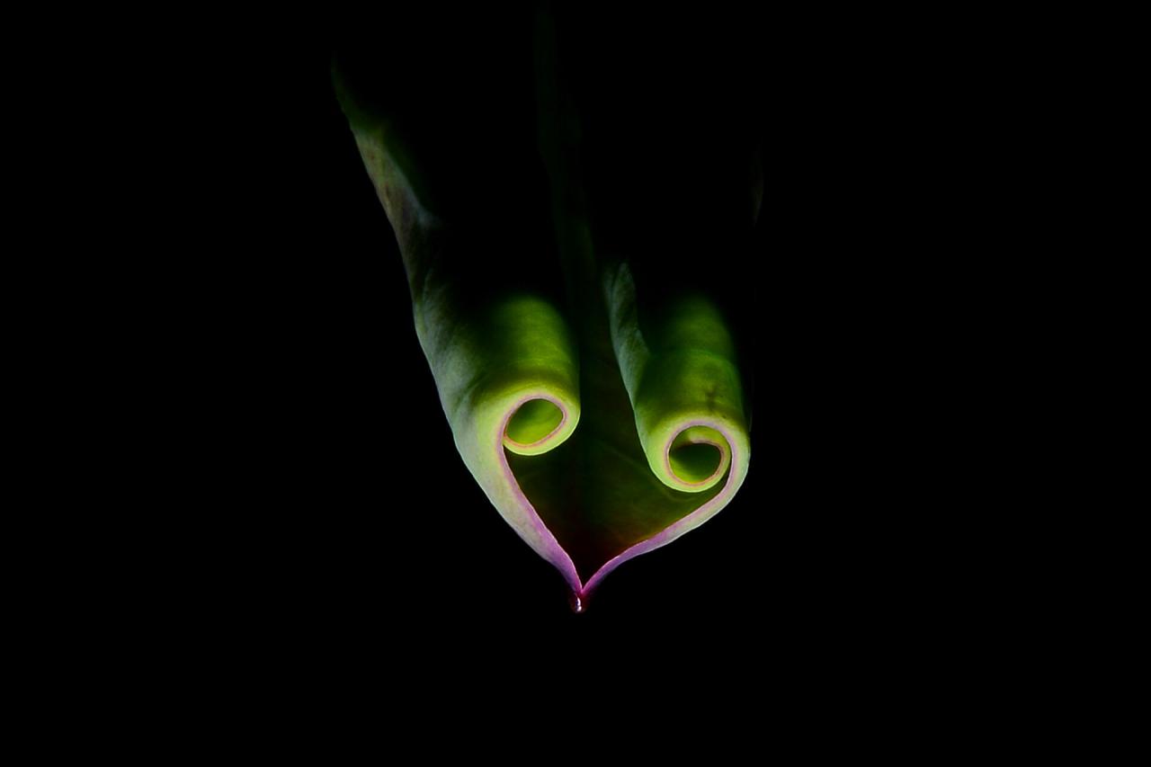 BandPhoto_2022_07_09_12_22_28.jpg : 아름답습니다