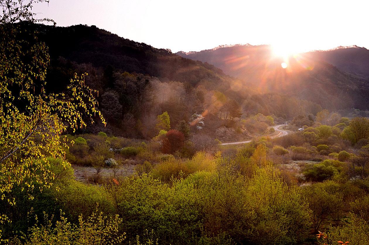 BandPhoto_8815053545.jpg : 시크릿가든