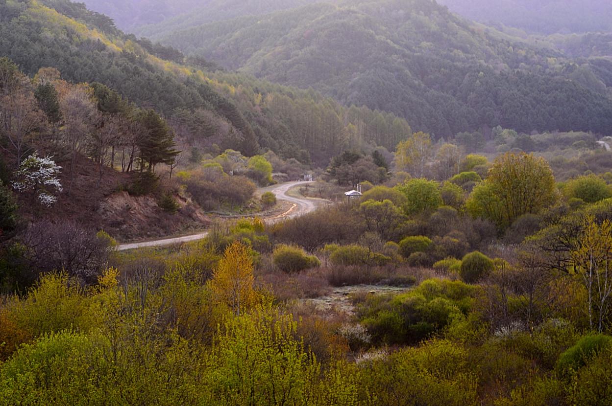 BandPhoto_8815053542.jpg : 시크릿가든